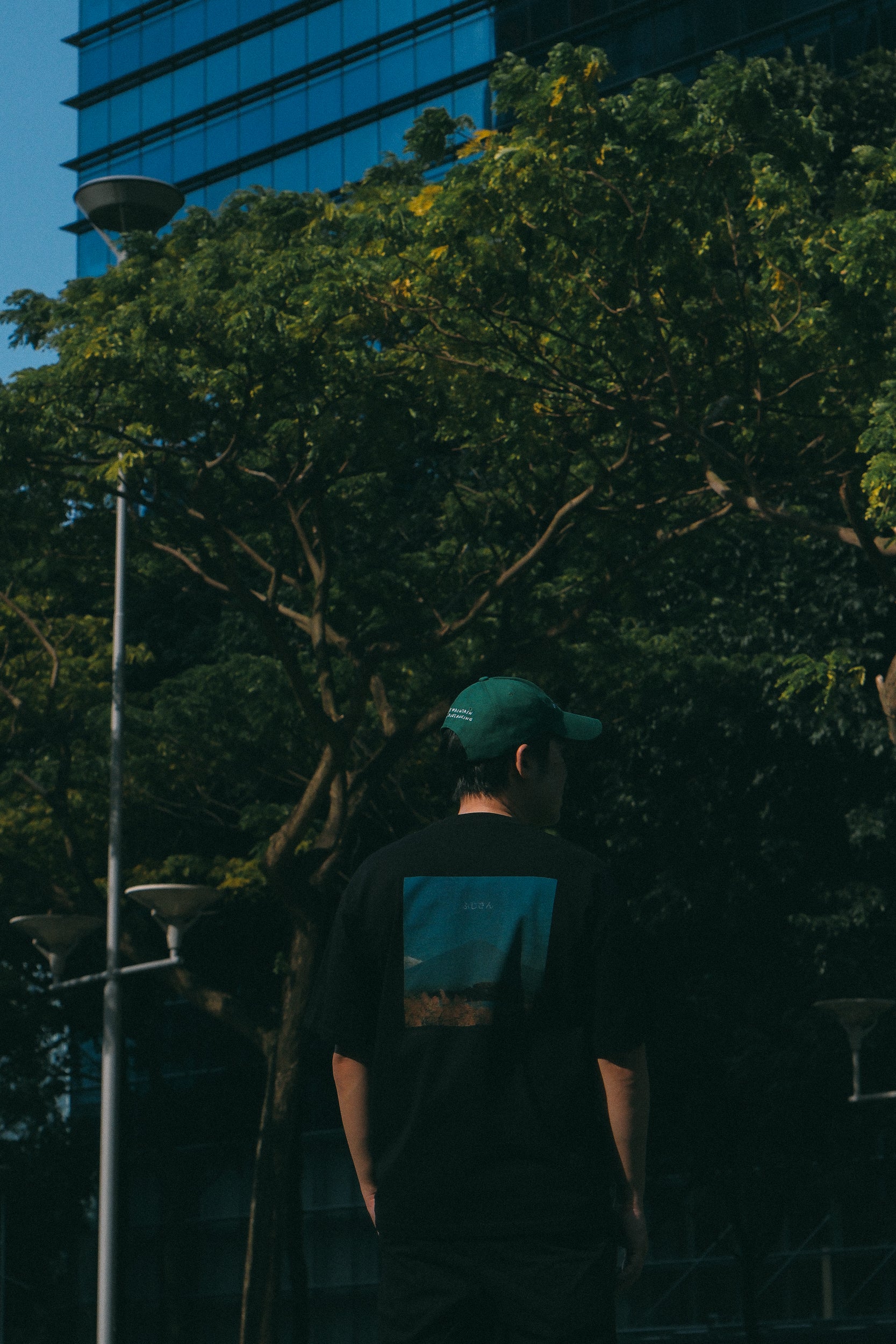 Mt Fuji Tee [Preorder]