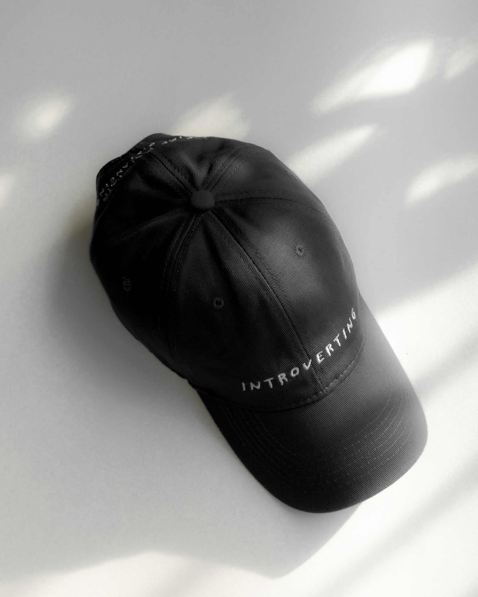 INTROVERTING Baseball Cap