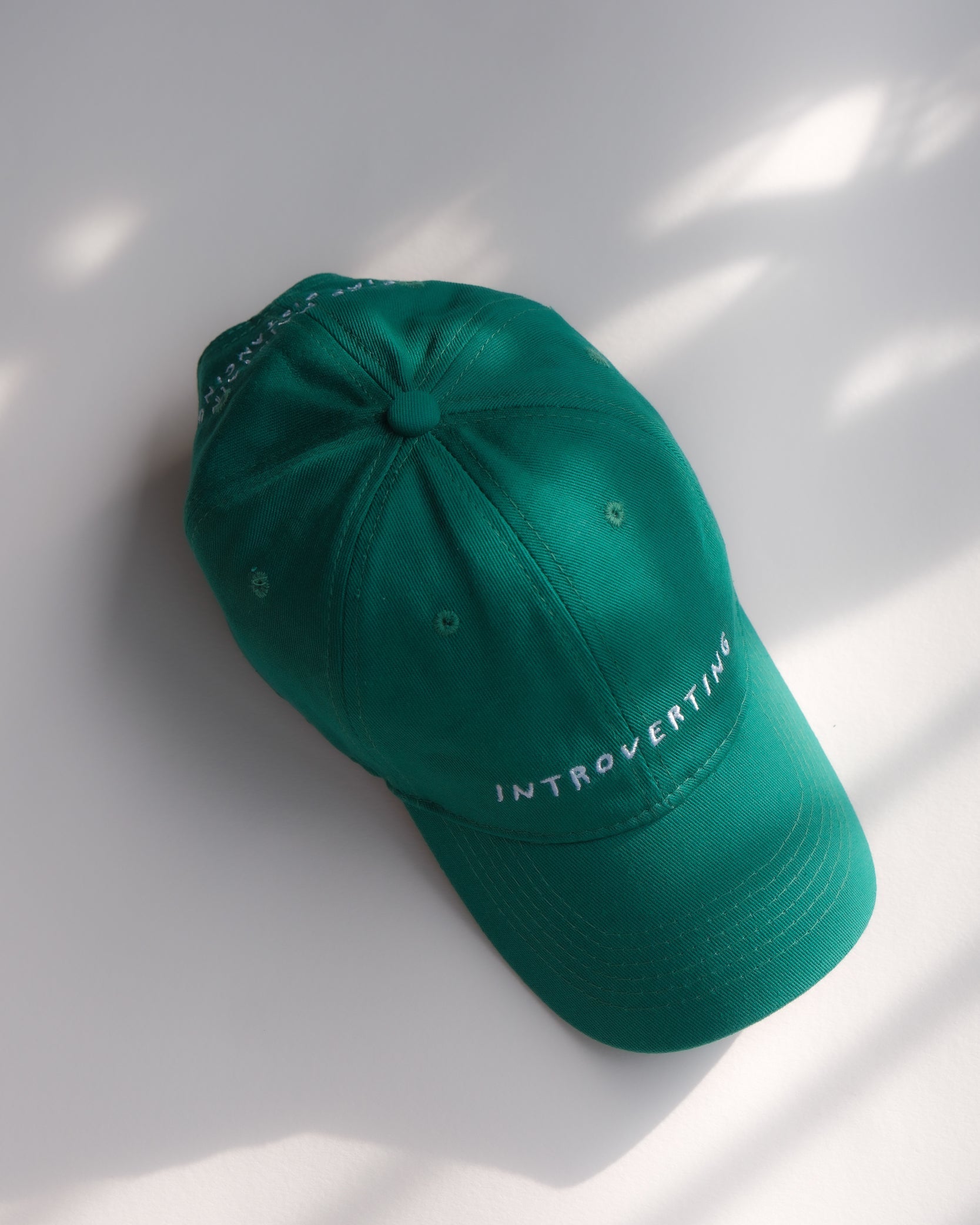 INTROVERTING Baseball Cap